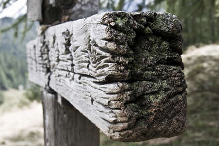 A closeup of an old wooden sign covered in mosses in a forest with a blurry backgroundの写真素材
