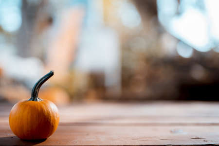 A closeup shot of a small orange pumpkin with a blurred backgroundの写真素材
