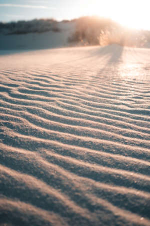 A vertical shot of the sun shining on the sands of the desert captured in Domburg, Netherlandsの写真素材