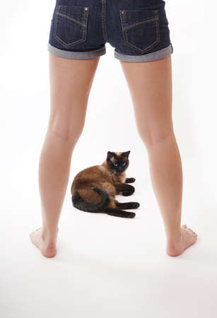 A vertical shot of female legs and a siamese cat on white background