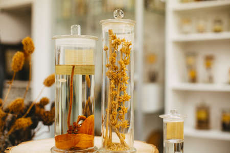 A closeup shot of plants in glass containers on the shelves of a shopの写真素材