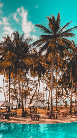 A vertical shot of beautiful palm trees near the pool under the breathtaking cloudy sky