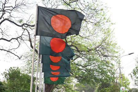 A row of small Bangladesh flags waving in the wind in a parkの写真素材