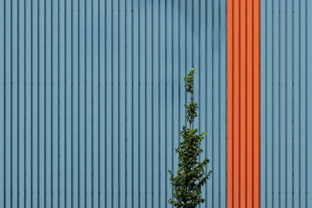 horizontal shot of a blue metallic wall with a red stripe and a green tree in front. Great for background.の写真素材