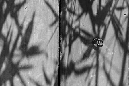 A greyscale high angle shot of two wedding rings put on each other on a wooden surface with shadows of plants on itの写真素材