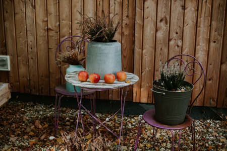 A small table with 4 red apples and a pot with dry leaves on it and two purple chairs with similar potsの写真素材