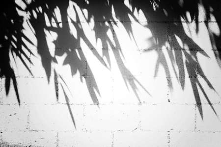 A hollow blocks wall with tree leaves shadows - great for a cool background or wallpaper