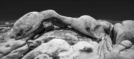 A greyscale shot of ancient stones in a deserted areの写真素材