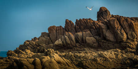 A beautiful view of the magnificent rocky cliffs by the sea and a sea bird flying in the background