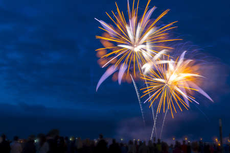 The beautiful colorful fireworks in the night sky.