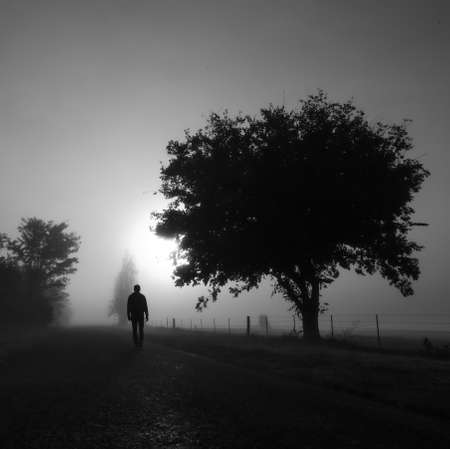 mysterious greyscale shot of a male walking in a foggy scary fieldの写真素材