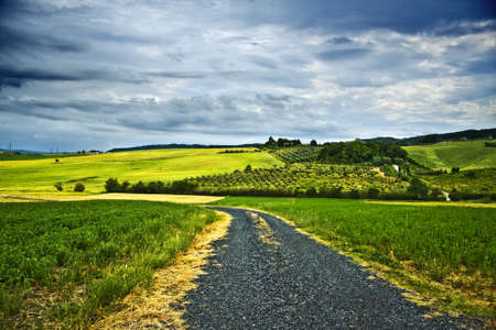 A mesmerizing shot of the green fields under a cloudy skyの写真素材