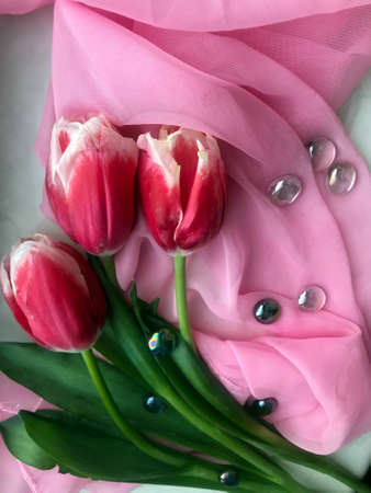 A vertical high angle shot of three fresh pink tulips and some beads lying on a pink clothの写真素材