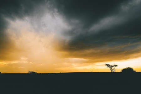 A silhouette of bare trees under the breathtaking colorful sky during sunset