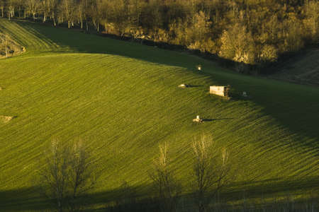 An aerial shot of grassy field and hills  with trees at daytime
