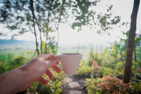A selective focused shot of a person's hand holding a white coffee cup in a garden.の写真素材