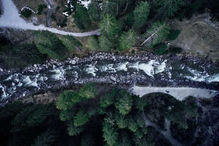 A breathtaking high angle shot of a mountain river surrounded by a forest of beautiful tall spruces