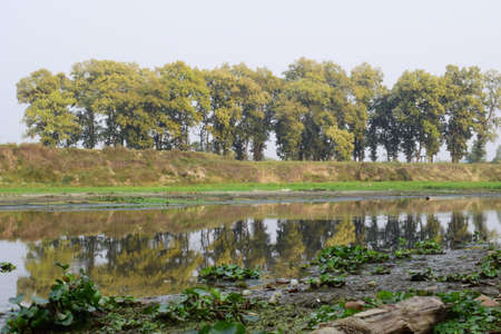 A sunny scenery of a reflective river surface near a small hill with big treesの写真素材