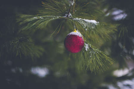 A closeup shot of a red ornament hanging from a snowy Christmas tree with a blurred backgroundの写真素材