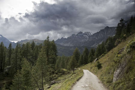 A pathway surrounded by rocky mountains covered in greenery under a stormy sky