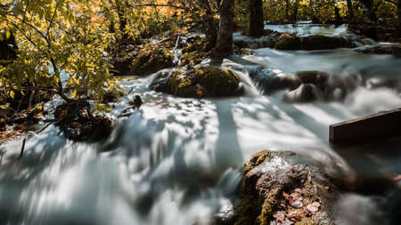 A majestic shot of a river flowing through a forest in Plitvice Lakes National Park, Croatia