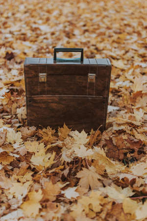A vertical shot of a brown bag isolated on autumn maple leaves in the parkの写真素材