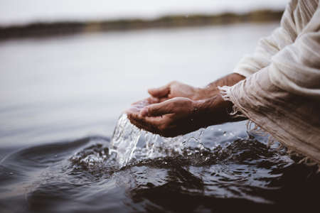 A closeup shot of a person's hands holding water with a blurred backgroundの写真素材