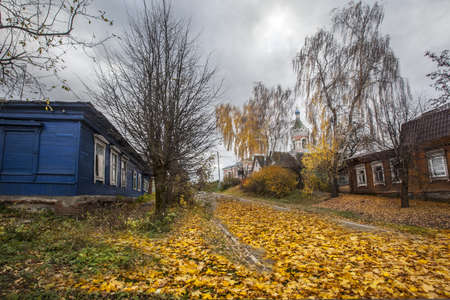 The colorful houses in a village in Russia at autumn with yellow leaves on the groundの写真素材