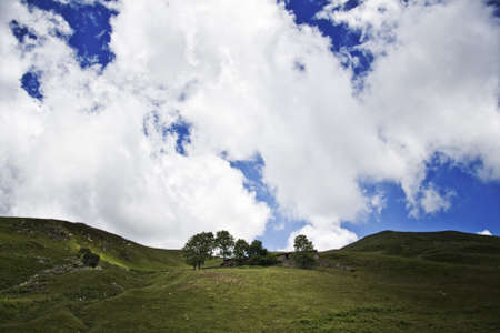 A mesmerizing shot of the beautiful landscape of a green field under a cloudy sky