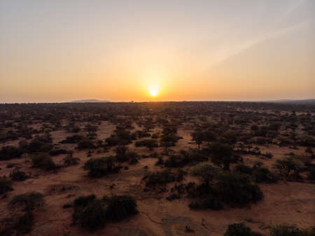 A beautiful view of the trees covered field under the sunset captured in Samburu, Kenyaの写真素材