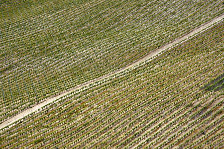 A high angle shot of an agricultural field during daytimeの写真素材
