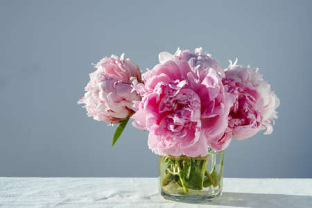 A closeup shot of gorgeous pink peonies in a short glass jar on gray backgroundの写真素材