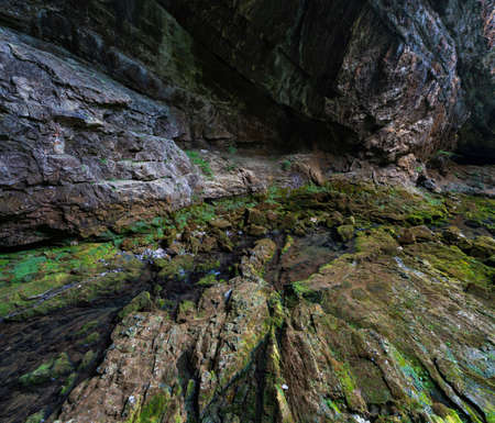 A high angle shot of the rocks covered with moss captured in Skrad, Croatia