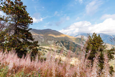 A beautiful view of the Mercantour national park in France