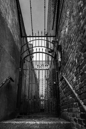 A vertical grayscale shot of a metal gate in a secret corner of the cityの写真素材