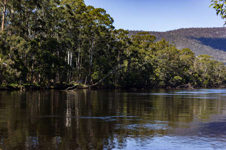 A beautiful shot of a lake with the reflections of trees and the sky in Australiaの写真素材
