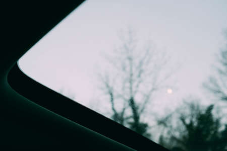 A blurry shot of leafless trees taken through a car window