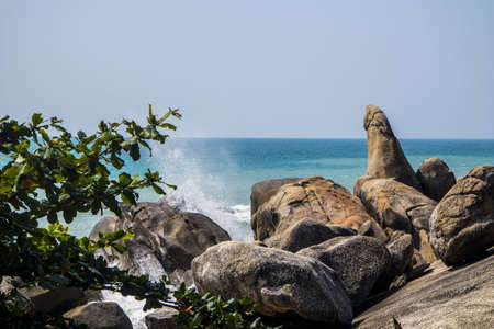 The Hin Ta rocks at Ko Samui, Thailand near the beautiful sea