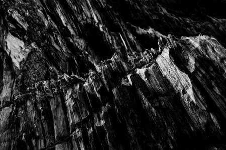 A grey scale shot of the patterns on the rocky cliffs