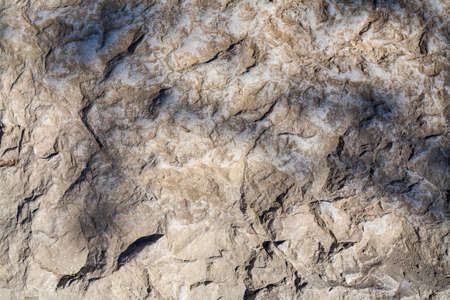 A high angle shot of a stone texture in Istria, Croatiaの写真素材