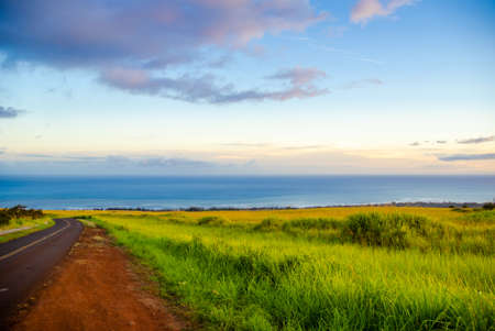 A beautiful shot of a road surrounded by a green field under the cloudy sky