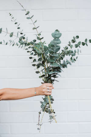 A vertical shot of a female hand holding a bouquet of beautiful houseplantsの写真素材