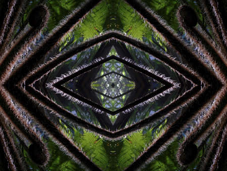 A colorful and abstract cool background created by mirroring different kinds of plants and trees -...