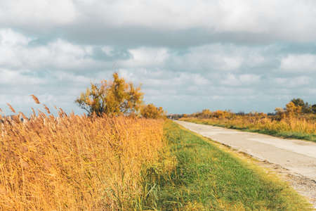A narrow pathway in a grassy field under the cloudy sky in Camargue, Franceの写真素材