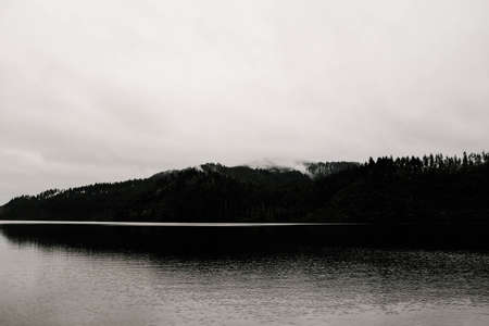 A greyscale shot of a grassy landscape reflecting in the water