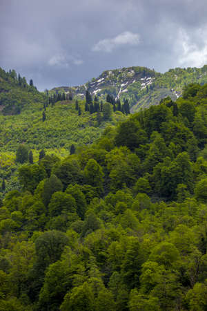 A vertical shot of the beautiful grass covered mountains under the cloudy skyの写真素材