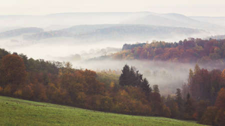 A breathtaking colorful autumn forest full of different types of trees covered in fogの写真素材