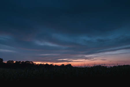 A beautiful landscape of a grassy field under the beautiful sunset sky