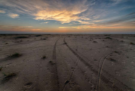 A beautiful sunset at the beach creating the perfect scenery for evening walks at the shoreの写真素材