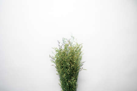 An overhead shot of twig bunch on a white surfaceの写真素材